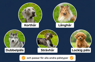 Furivia ™ - Hundborste