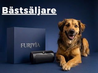 Furivia ™ - Hundborste