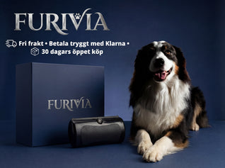 Furivia ™ - Hundborste