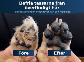 PawTrim Pro™ - Smärtfri tassvård på några sekunder