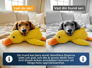 Furivia anti-stress anka