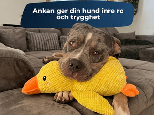 Furivia anti-stress anka