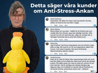 Furivia anti-stress anka