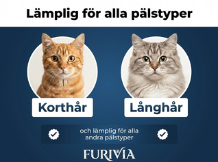 Furivia Underullborste
