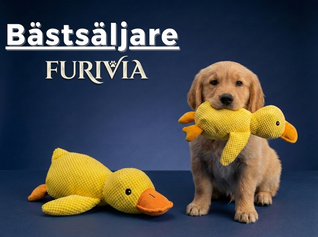 Furivia anti-stress anka